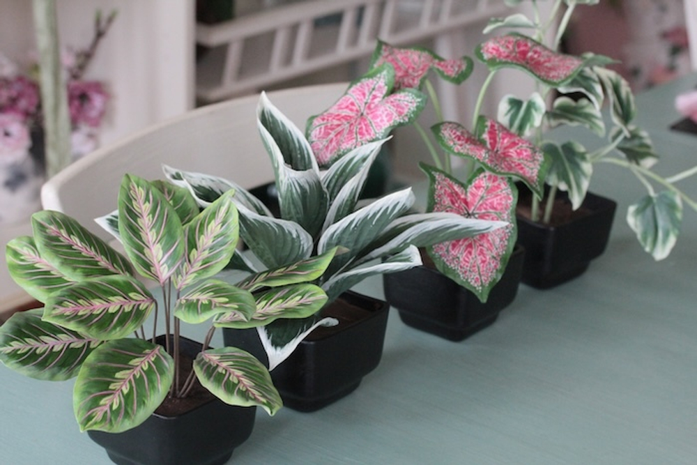 Вайнер лист Хосты ClayCraft by DECO™