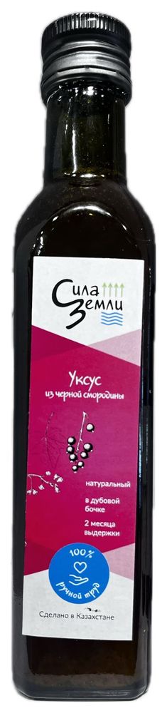 Сила Земли Уксус из черной смородины 250