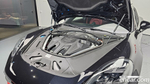 Porsche Panamera (971) 2.9 AWD E-Hybrid Platinum Editions (03.2024)