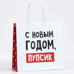 Пакет подарочный "С Новым годом, пупсик" 22×22×11см (Дарите Счастье)