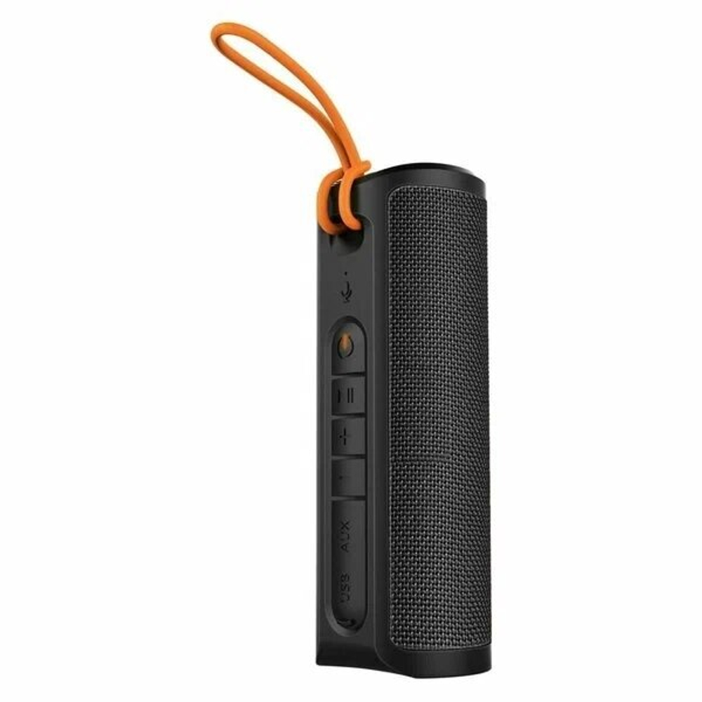 Беспроводная акустика XiaoMi Sound Outdoor 30W S29D, Black