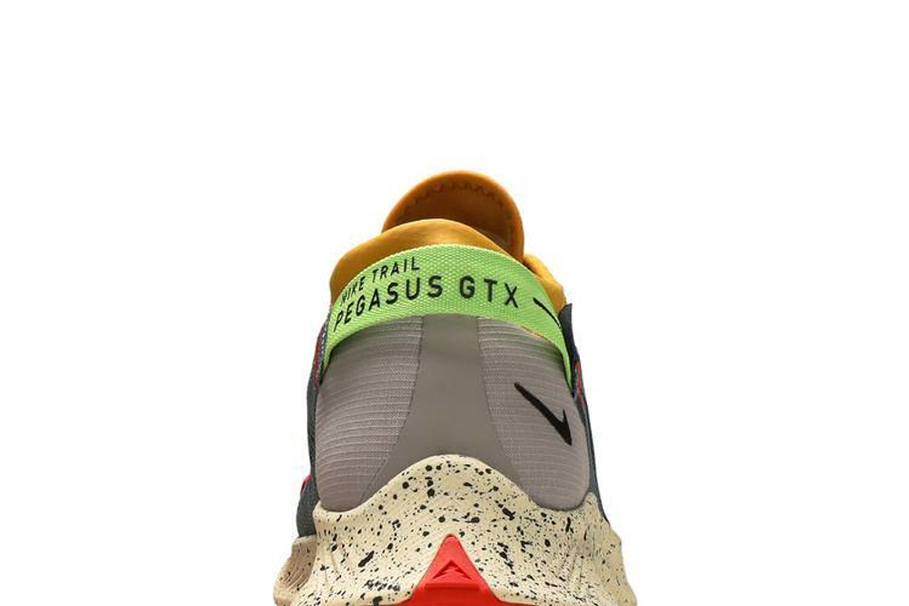 Кроссовки Nike Pegasus Trail 2 Gore-Tex