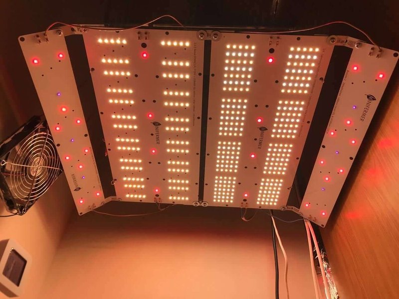 УФ фитолампа для растений LED Booster Line UV 365-385-395-405 nm, 20W