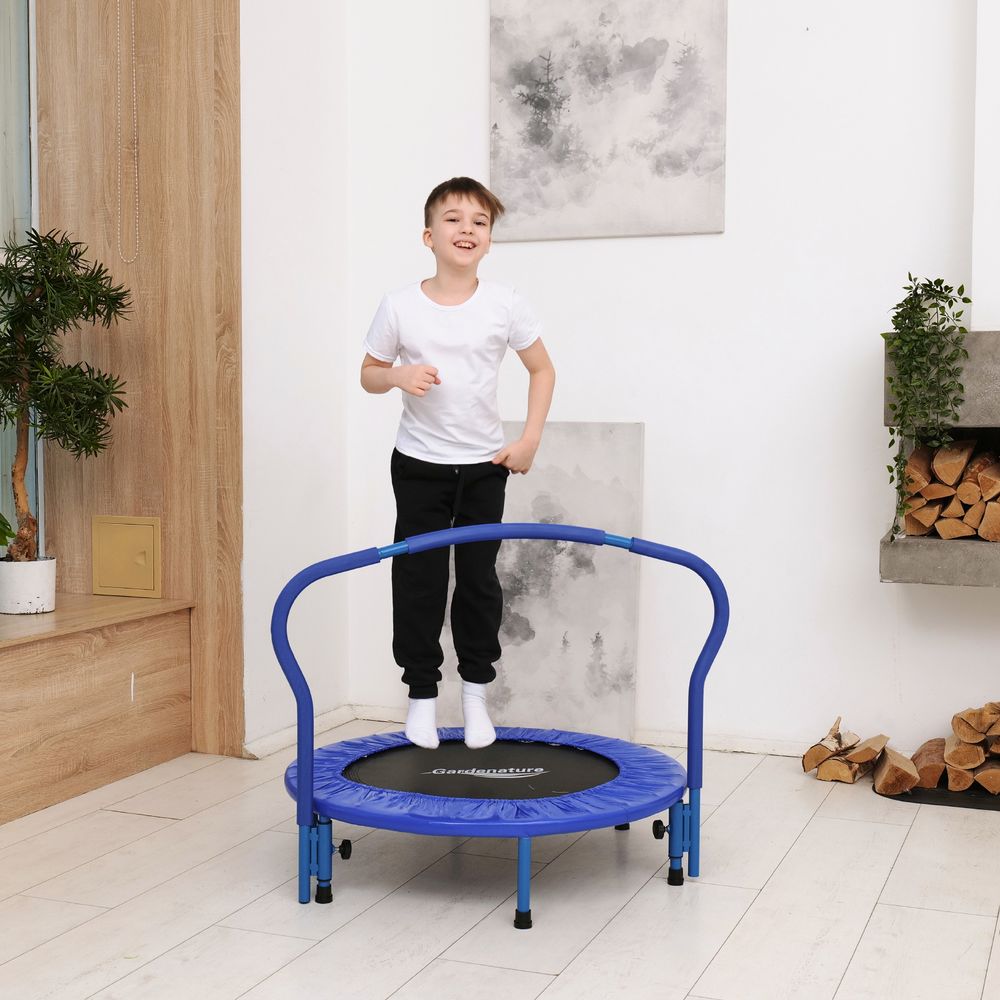 Батут с поручнем DFC Gardenature 36&#39;&#39; синий