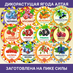 Рябина черноплодная.