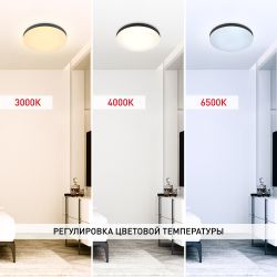 Светильник потолочный светодиодный ЭРА Relict 48 Pult SPB-6-60-RC BK с ДУ 60W 3000-6500K Черный | Светильники SPB-6 с ДУ