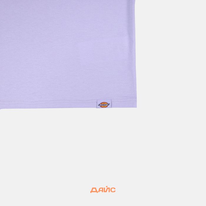 Футболка мужская Dickies Saltville Tee артикул:DK0A4YR9H181 - купить в магазине Дайс