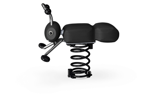 Лесной муравей