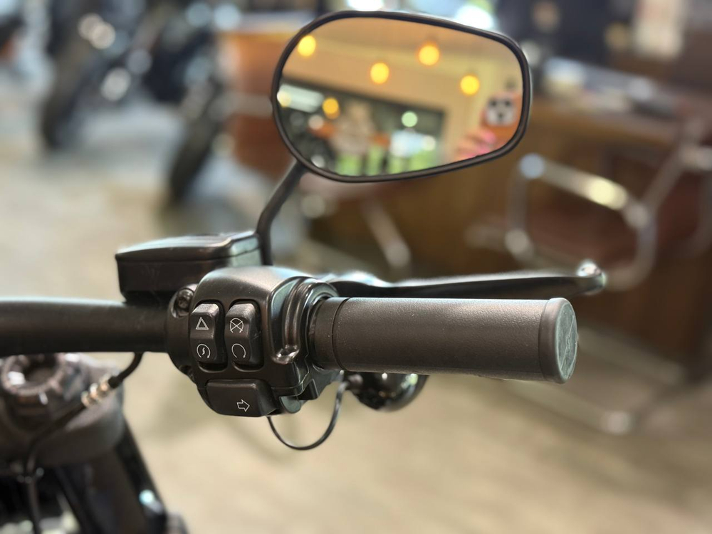 Harley-Davidson Fat Bob 114 (2021мг)