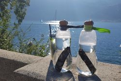 Экобутылка Eau Good, 800 мл, черная