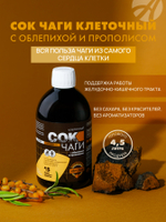 Сок Чаги клеточный с облепихой и прополисом, 450 мл Поддерживает работу желудочно-кишечного тракта