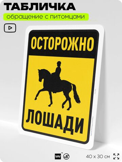 Табличка "Осторожно, лошади" на дверь и забор, для конюшни, фермы, деревни, 40х30 см, Silver Plane x Айдентика Технолоджи