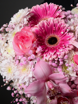 В самое сердце