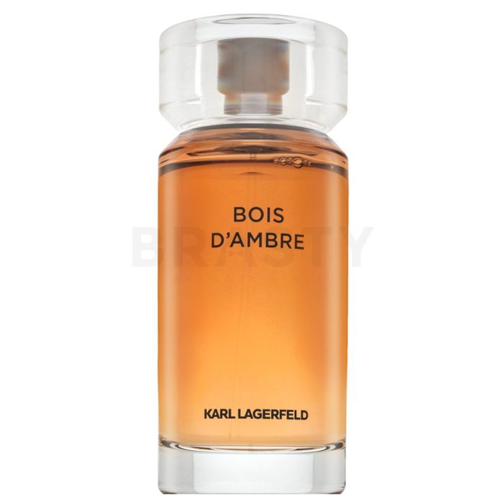 Lagerfeld Bois d'Ambre EDT M 100 ml