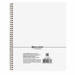 Тетрадь А5, 96 л., BRAUBERG, гребень, клетка, обложка картон, "CONTRACT", 400527, 4шт