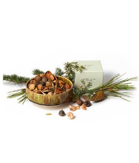 Ароматическое попурри Заповедный лес, Christian Tortu