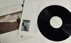 Винтажная виниловая пластинка LP Tanita Tikaram Ancient Heart (Germany 1988)