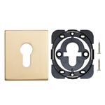 Накладка на цилиндр ESC.C.USS/K (ET Protector/USS) FSG флорентийское золото