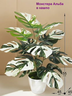 Искусственная Монстера Альба 55см в кашпо