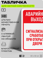 Табличка для частной территории "Аварийный выход", на дом, для участка, организаций и частных территорий, предупреждающая, 40х30 см, Silver Plane x Айдентика Технолоджи