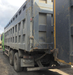 Shacman (Shaanxi) SX* 8x4 Самосвал SX33186W366C (Дизельный, 10,8 л, 441 л.с., МТ)