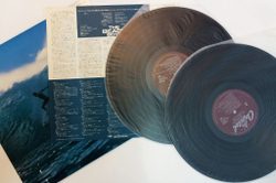 Винтажная виниловая пластинка LP Сборник The Beach Boys 2LP (Japan 1979)