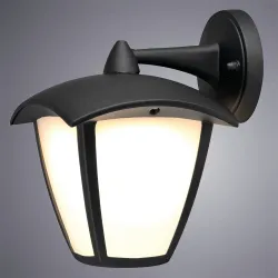 Уличный настенный светильник Arte Lamp