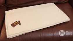 Одеяло детское тканое из 100% верблюжьей шерсти 110x140 см. (GOBI SUN) - кремовое
