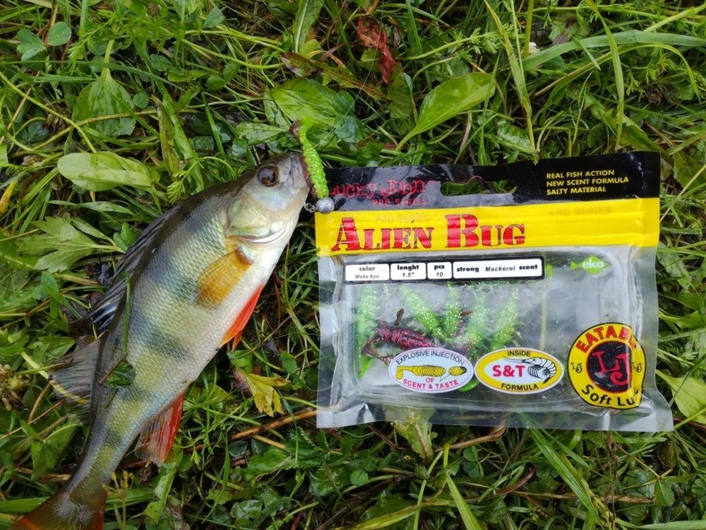 Мягкая приманка Lucky John Series ALIEN BUG 1,5in (38 мм), цвет T52, 10 шт/уп