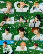Альбом The Boyz - Bloom Bloom 2nd Single Album RANDOM Version