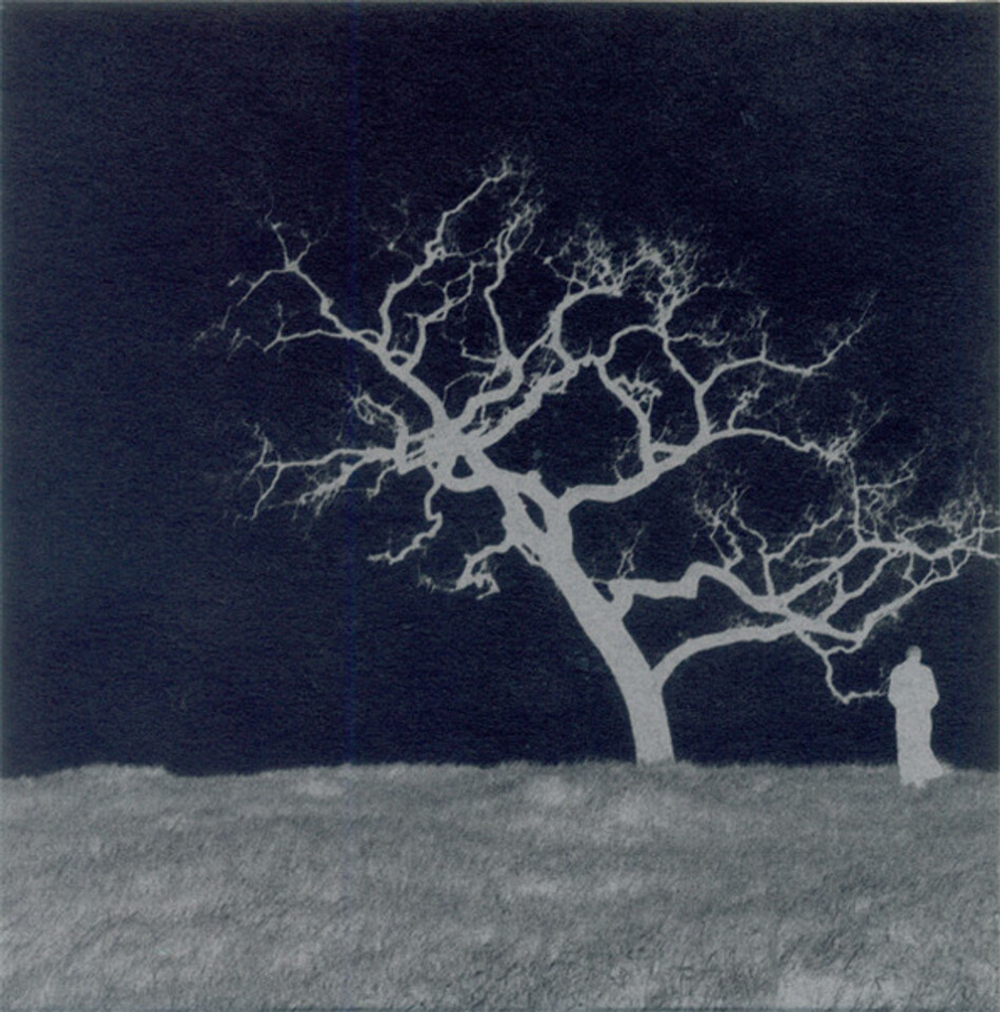 The Smashing Pumpkins / Adore (Deluxe Edition)(6CD+DVD)