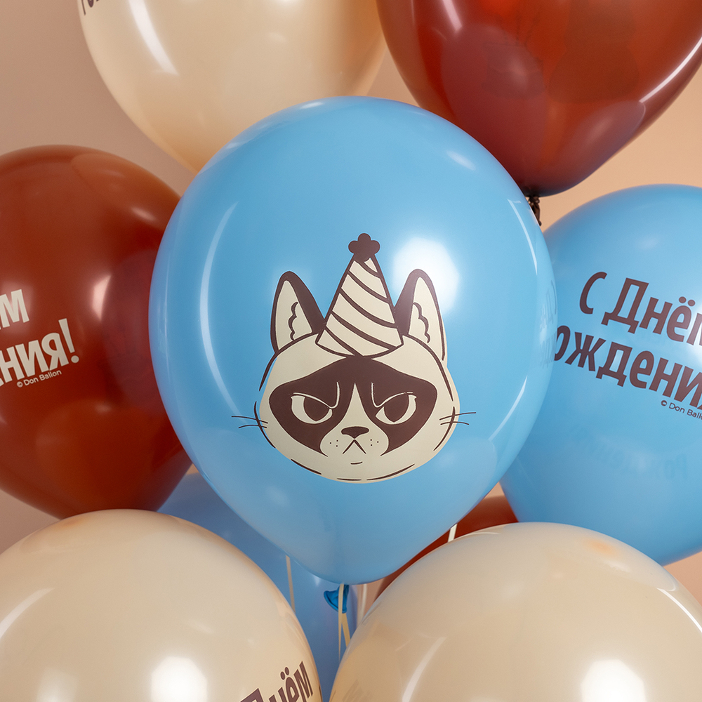Шар 12" Ассорти С Днем Рождения, сердитая кошка ДБ 10 шт