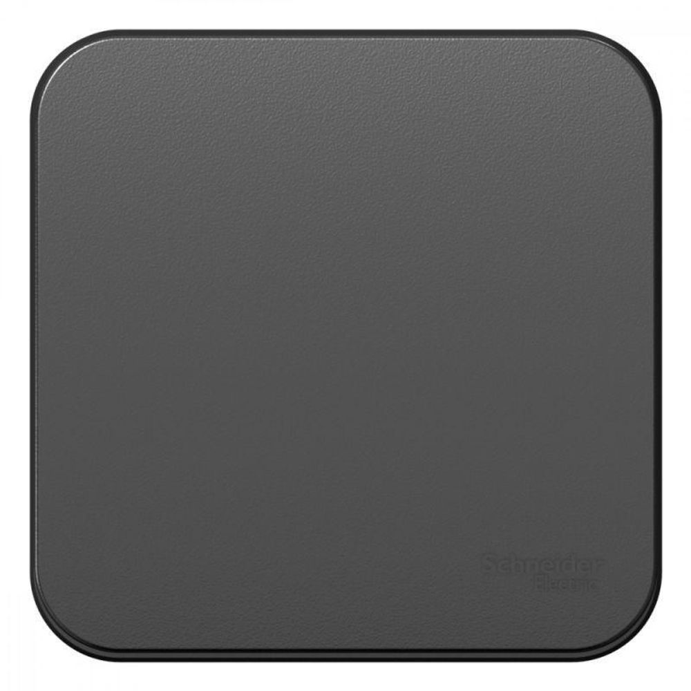 Переключатель проходной 1-кл. ОП Blanca 10А IP20 (сх. 6) 250В с изолир. пластиной антрацит SE BLNVA106016 Переключатель проходной 1-кл. ОП Blanca 10А IP20 (сх. 6) 250В с изолир. пластиной антрацит SE BLNVA106016