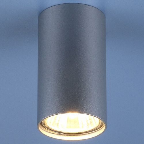 Накладной светильник Elektrostandard 1081 (5257) GU10 SL серебряный