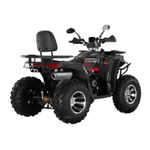 Бензиновый квадроцикл WHITE SIBERIA BARS 200CC PRO (черный)
