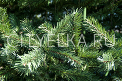 Ель уличная искусственная "Евро-2" каркасная