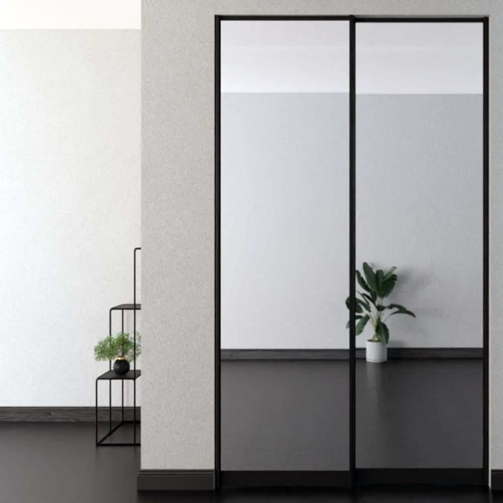 Дверь-купе ARISTO FLAT, зеркало, профиль черный матовый