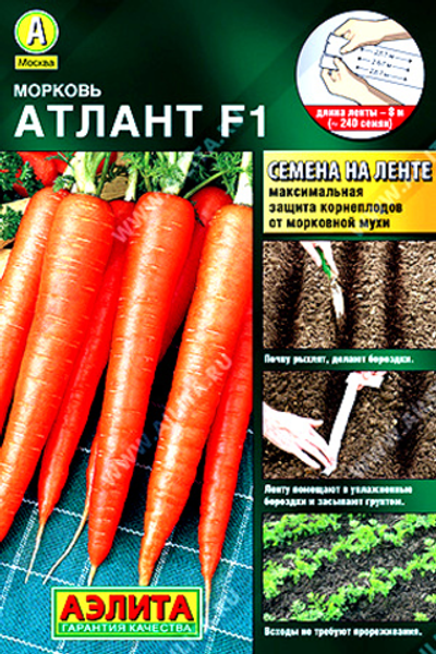 Морковь Атлант F1  (на ленте)        8 м