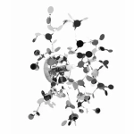 Настенный светильник Lightstar Extra 721634