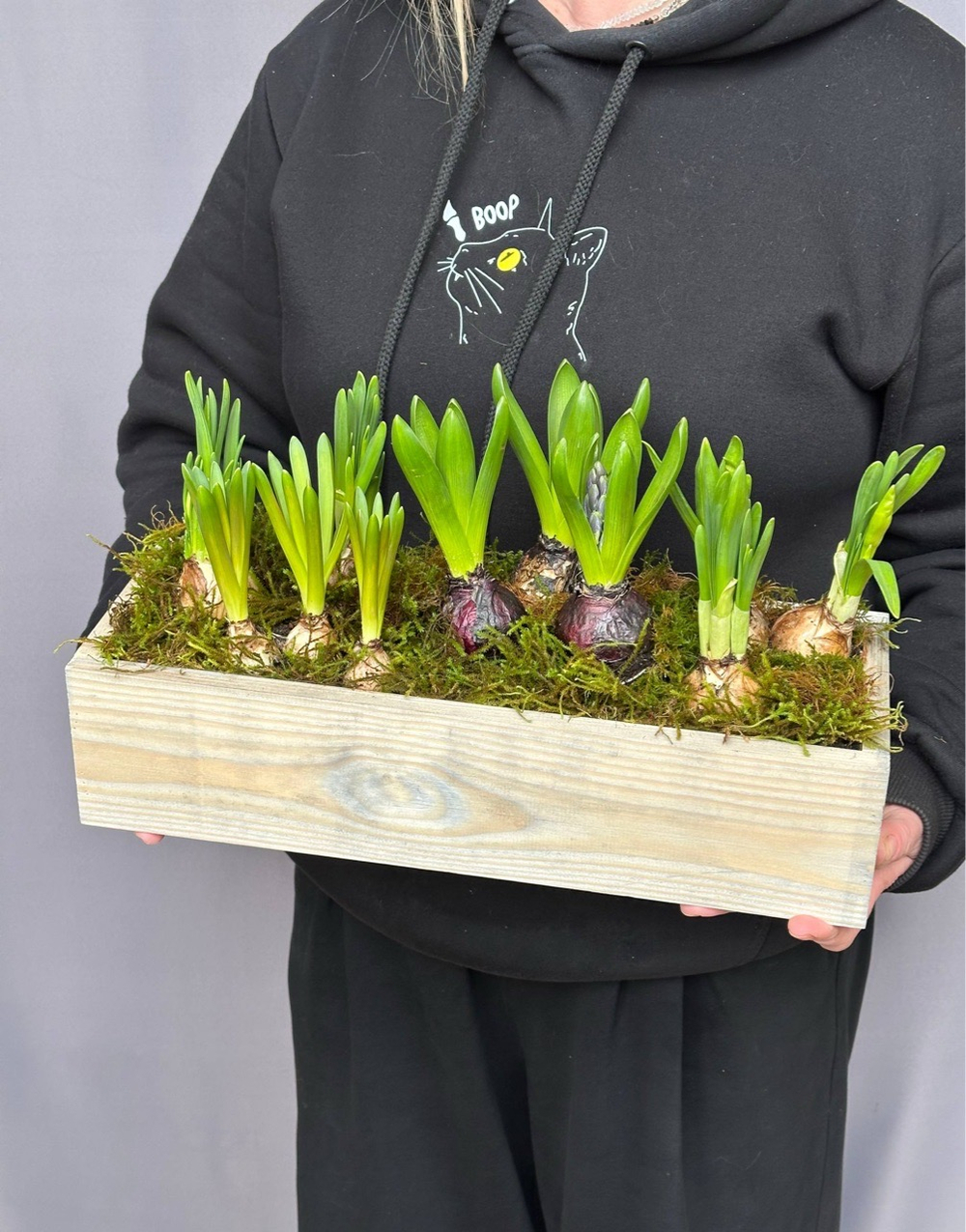 Hot garden offer #09р