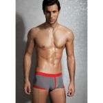 Мужские трусы хипсы серые Doreanse 1759GR