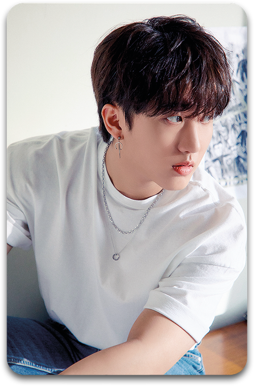 Карта / STRAY KIDS #3013