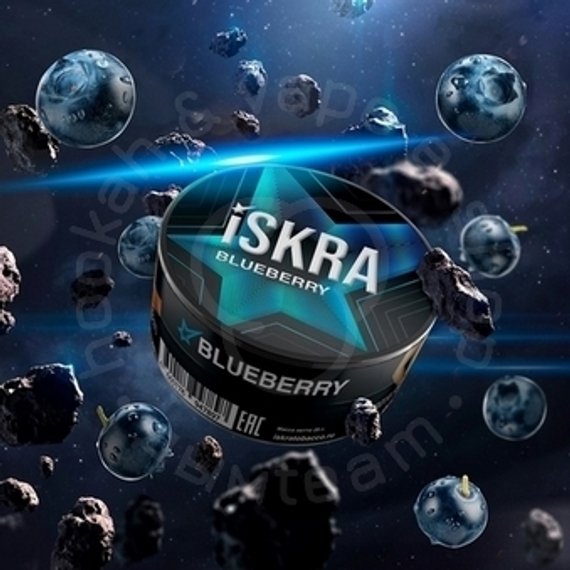 Табак для кальяна Искра (ISKRA), 25 г (Черника (Blueberry))