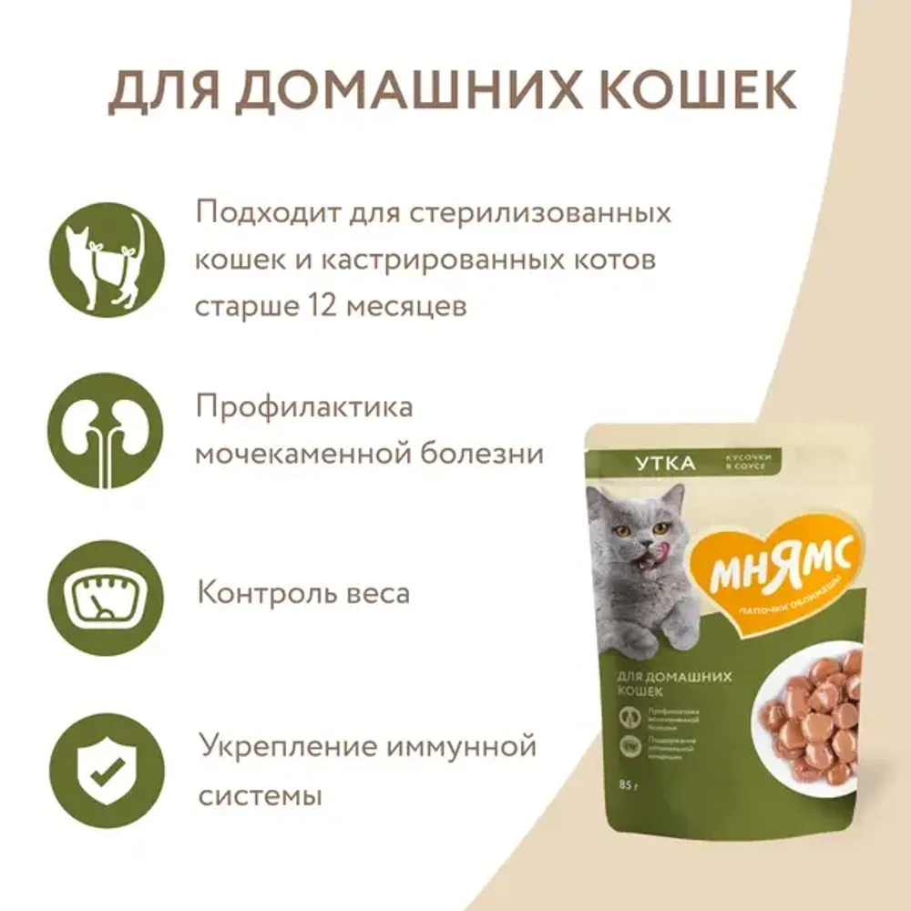 Пауч Мнямс для домашних кошек, кусочки в соусе с уткой Пауч Мнямс для домашних кошек, кусочки в соусе с уткой