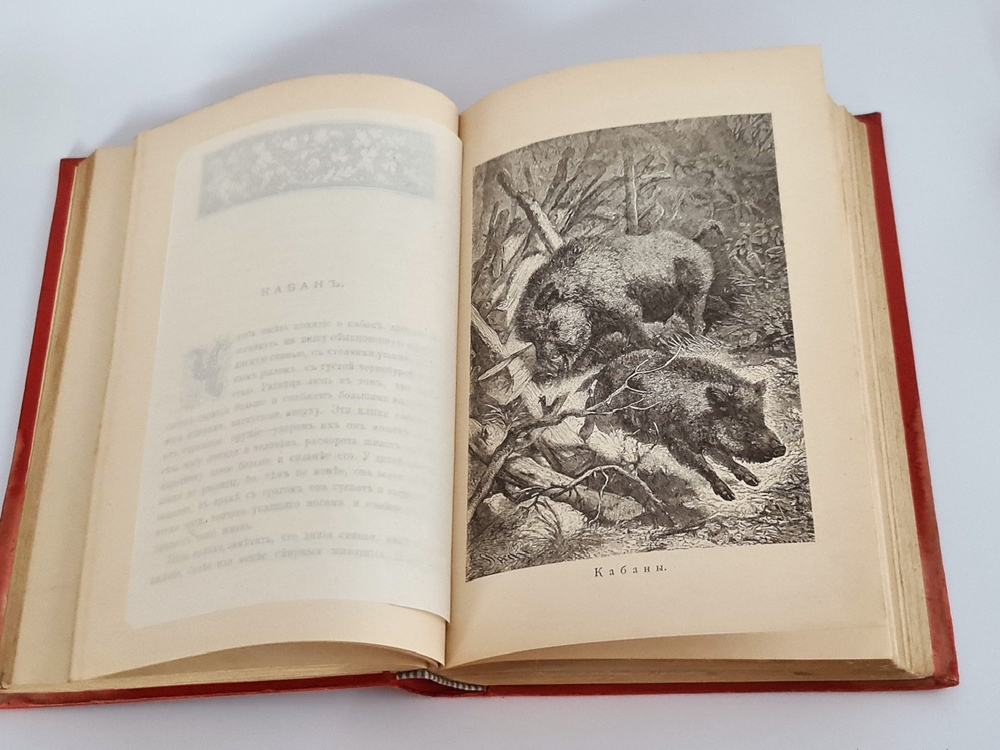 "Из жизни русской природы. Зоологические очерки и рассказы". М.Н.Богданов. 1889г. - антикварное издание