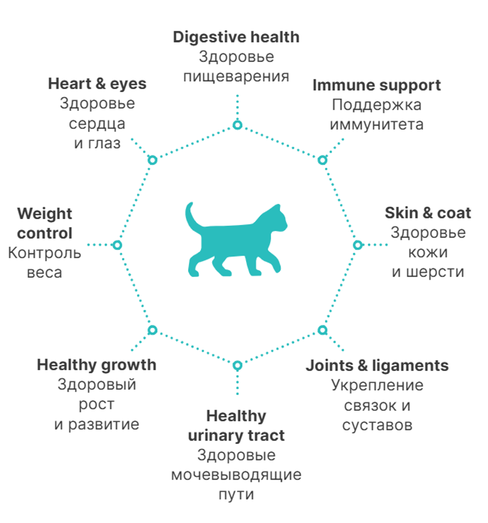 PREMIER Свежее мясо индейки для котят