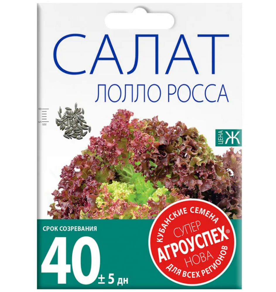 ЛЕТТО  салат 0,5гр ( цветной пакет ) ЛОЛЛО РОССА, листовой ранний / 10