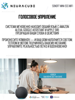 Умное Двухканальное WiFi (Matter) реле SONOFF MINI-2GS (10А/2200Вт-на канал)