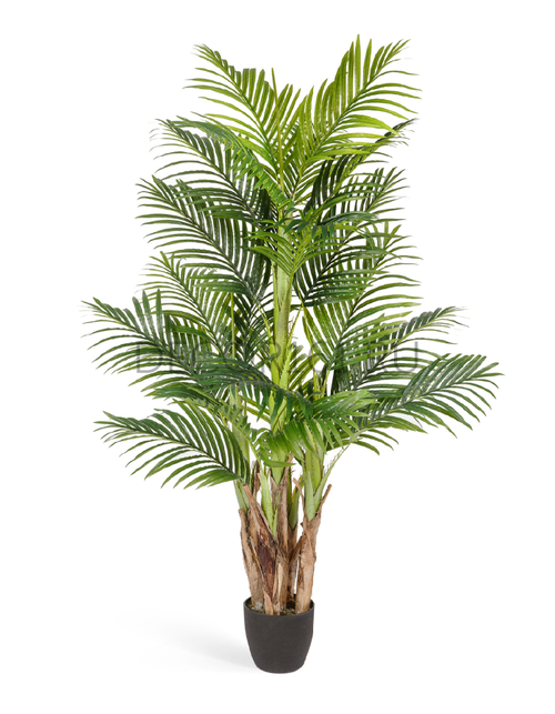 Пальма Арека Бетель в-170 см (Sensitive Botanic) (5 стволов, 24 листа) 2/2 10.071408