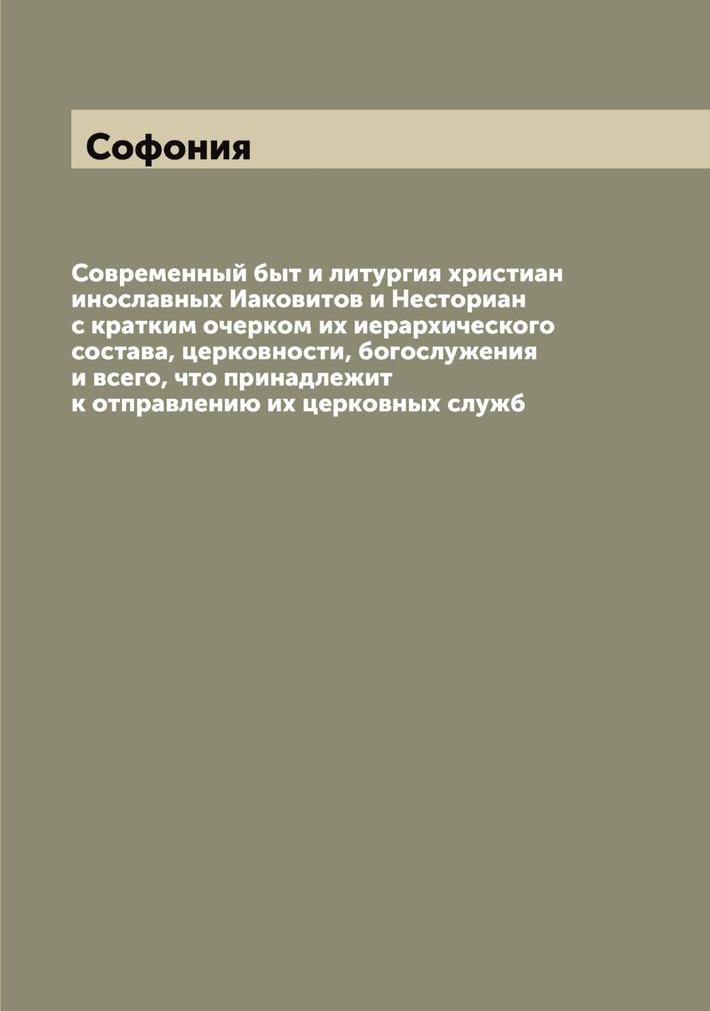 Современный быт и литургия христиан инославных Иаковитов и Несториан с кратким очерком их иерархического состава, церковности, богослужения и всего, что принадлежит к отправлению их церковных служб | Софония